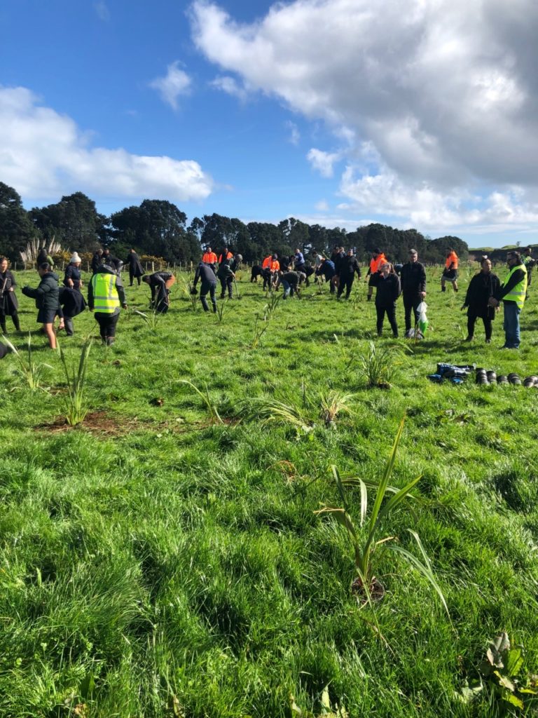 Planting at Waiwhakaiho Awa by Ngāti Tawhirikura hapu and supporters following DOC's Job for Nature funding announcement, August 2021