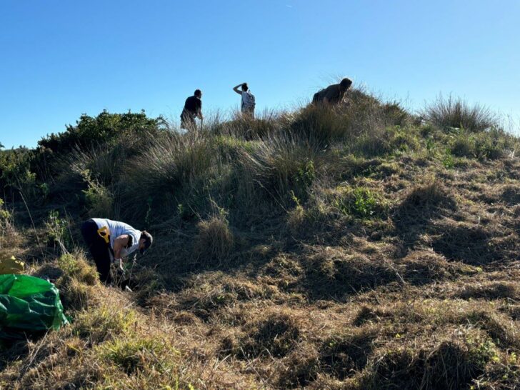 Member Spotlight – Pātea Planting Trust