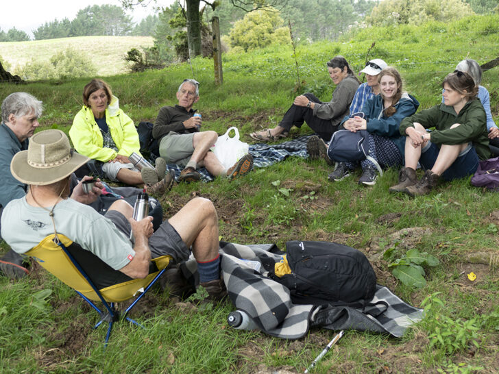 Member Spotlight – Guardians of the Green: North Taranaki Forest and Bird
