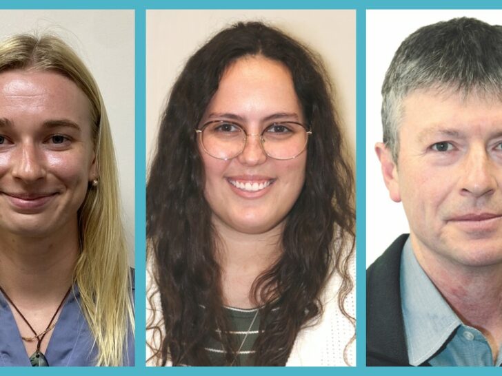Wai Connection Webinar Fern Kumeroa, Romy van der Boom, Don Shearman