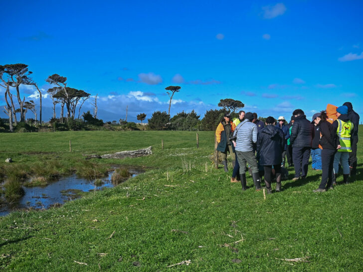 Wetland Wānanga with Dr. Rebecca Eivers 