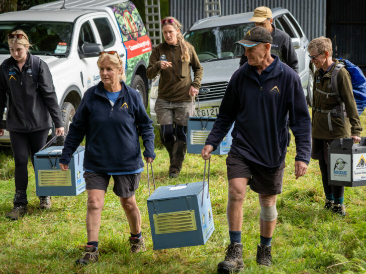 Protecting Taranaki Kiwi – A Collaborative Success Story