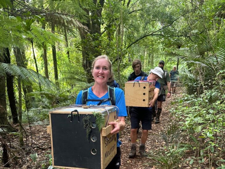 Kaitake Ranges Conservation Trust 