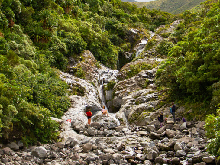 Taranaki: The Best Landscape to Restore Biodiversity Corridors 