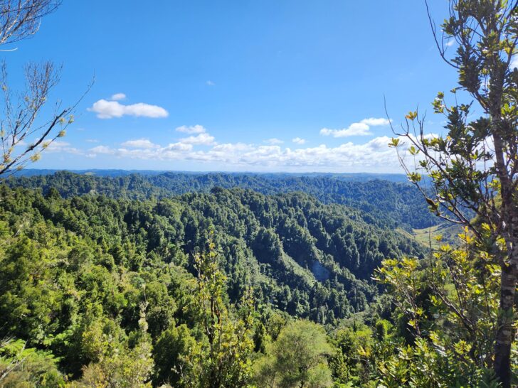 Two Decades of Conservation, Collaboration and Community in Eastern Taranaki